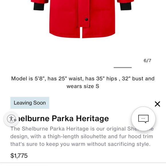 Rare, Authentic Canada Goose